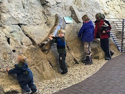 Kids touching the bones at Dinosaur National Monument Quarry Exhibit Hall 