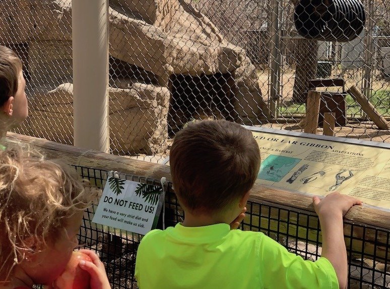 Watching the monkeys play is the best thing to do at the Pueblo Zoo