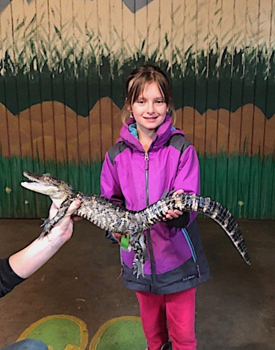 Girl holding baby alligator in Colorado