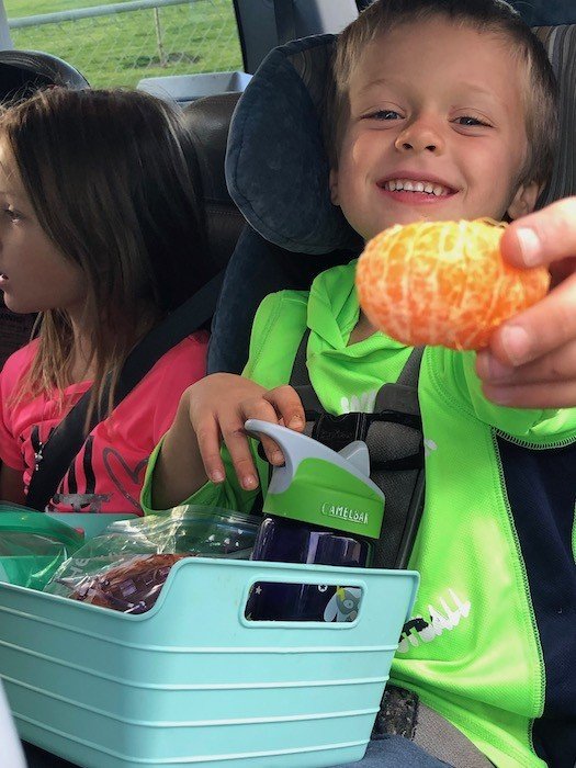 the best road trip with toddlers tip is to bring plenty of snacks and drinks and keep in a basket. 