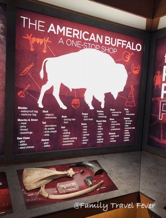 American Buffalo Exhibit at Garden of the Gods Colorado Springs for the People and History portion.