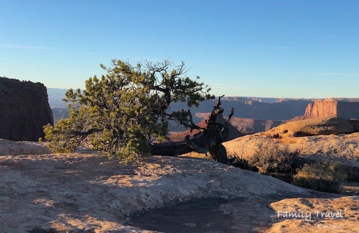 The scenic overlooks are one of the best things to do at Dead Horse Point State Park. East Rim Overlook