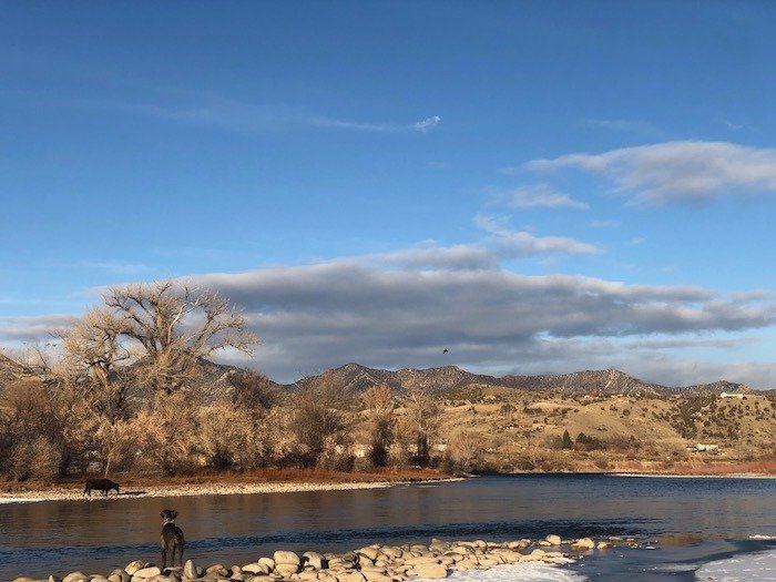 View of the Colorado River and eagles nest at Silt River Preserve Park