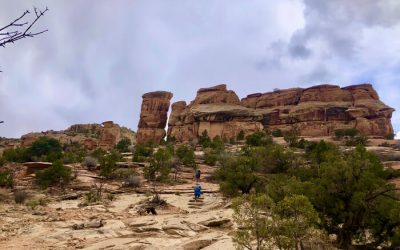 Easy Colorado National Monument Hiking Trails
