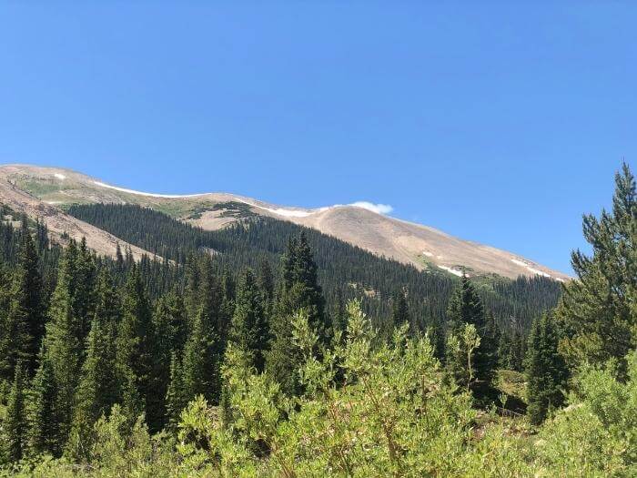 A beautiful mountain view with lots of trees along the Independence Pass View of White River National Forest