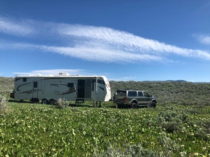 35-feet travel trailer by the grass