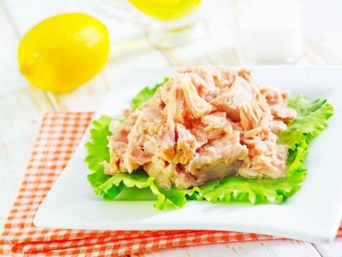 Tuna salad with lettuce on a white square plate with a red and white checkered table napkin under, on top of a white wood table with a lemon in the background