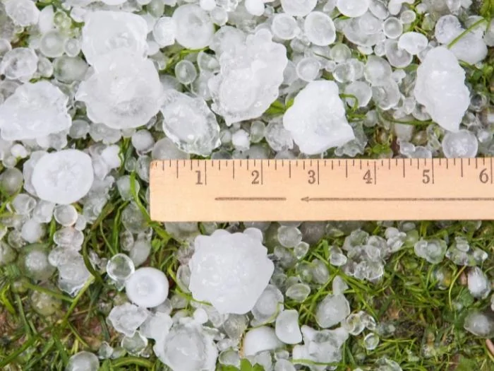 Size of hailstones with a ruler to show the inches 