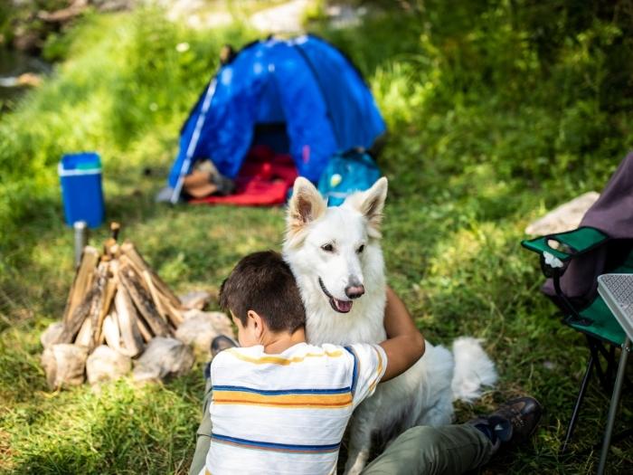 Rear view of boy while embracing white Belgian Malinois on picnic in a forest camp ground