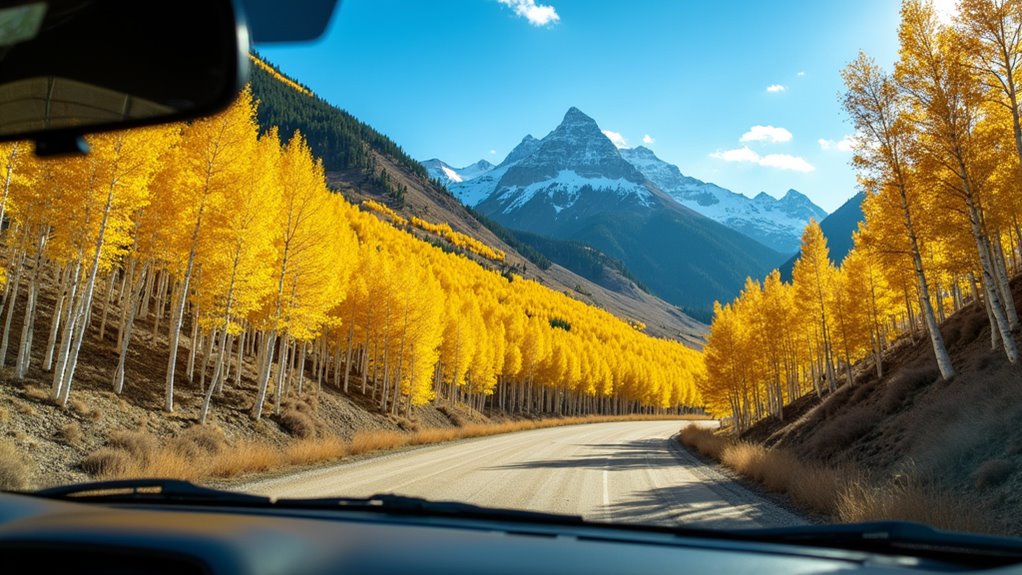 scenic drive through aspens