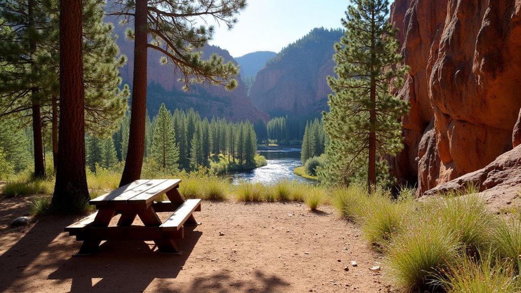 tranquil forest campground experience