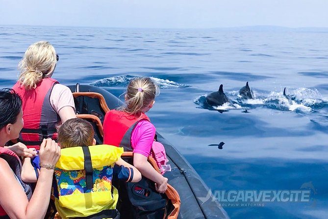 Cheapest family friendly boat trip from vilamoura algarve highlights of the vilamoura family boat trip