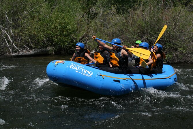 Clear creek whitewater raft near denver: splashy fun for families authentic experiences from other travelers