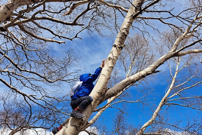 Etna family tour excursion for families with children on etna a closer look at the tour