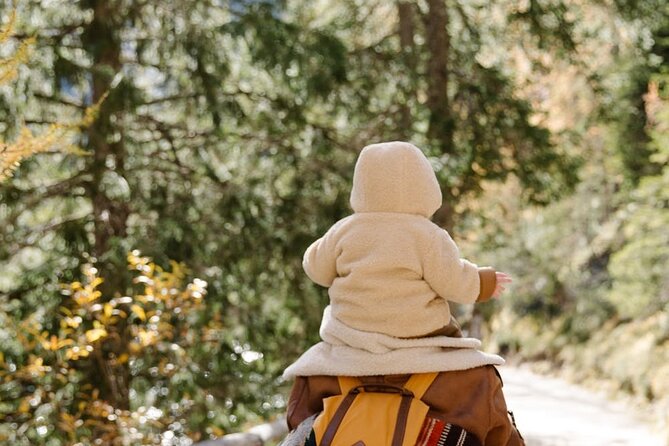 Family friendly nature hike around the big bear valley what to expect on your guided nature walk