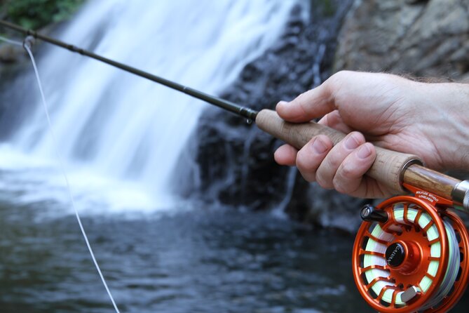 Family fun private half day fly fishing adventure an honest look at the experience
