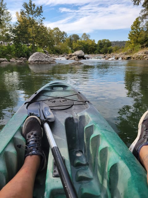 Half day kayak adventure family journey a detailed look at the experience