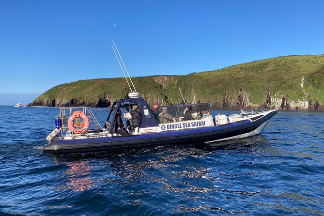 Private family sea safari why this tour stands out