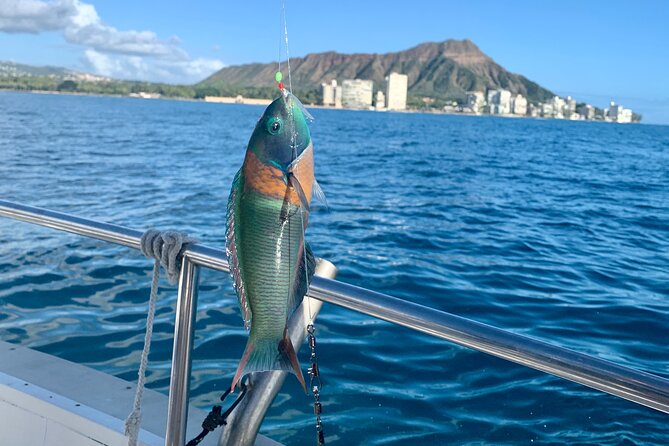 Private fishing charter for family and friends in honolulu what this tour offers in detail