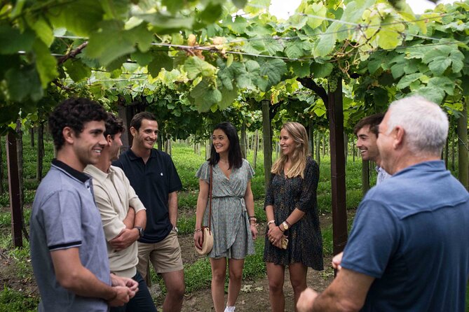 Private tour at a family winery and basque coast route a closer look at the itinerary: authentic, engaging, and scenic