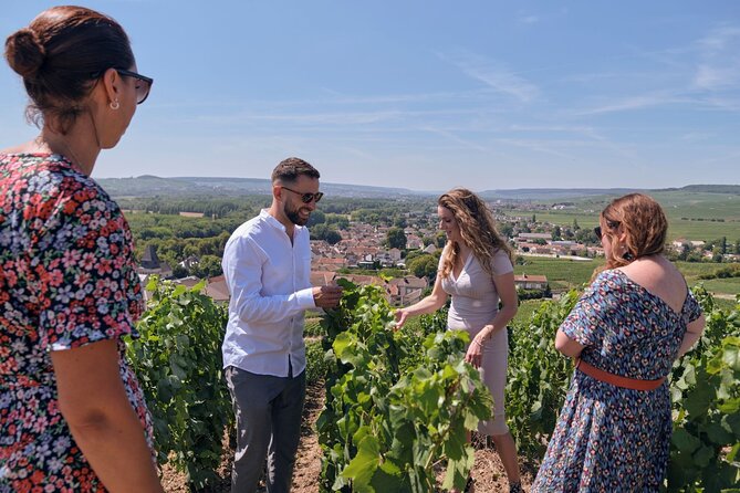 Private tour: full day veuve clicquot to reims or epernay region visiting veuve clicquot