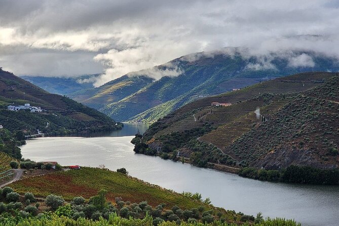 Private tour in the douro with family vineyards and miradouro a detailed breakdown of the tour experience