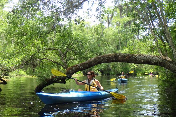Self guided family friendly kayak rental experience old florida an in depth look at the experience