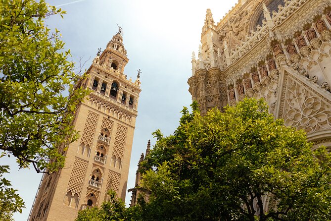 Seville must do family friendly private tour highlights of the family friendly seville tour