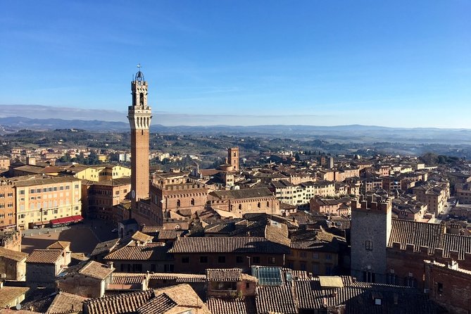 Siena family tour exploring siena with kids: what to expect