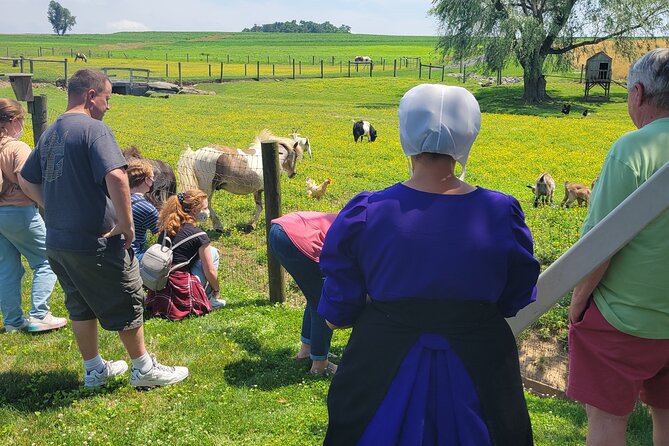 Authentic Tour & Meal with the Amish! - Itinerary Breakdown: From Scenic Drives to Smiling Hosts