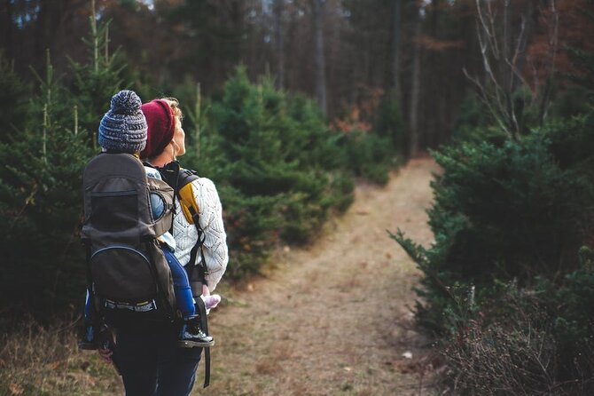 Family-Friendly Nature Hike around the Big Bear Valley - The Itinerary in Detail