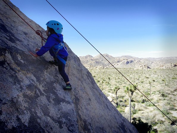 Family Rock Climbing Trips in Joshua Tree National Park (6 Hours) - Authentic Family Experiences and Guide-led Expertise