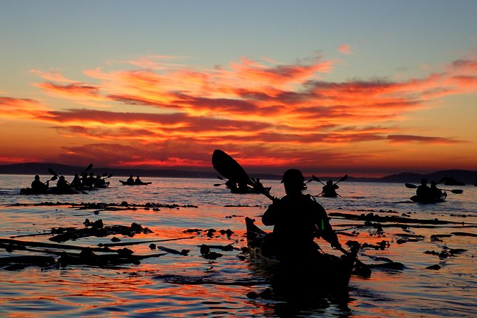 Kayaking in Deception Pass State Park - Practical Tips for Planning Your Trip