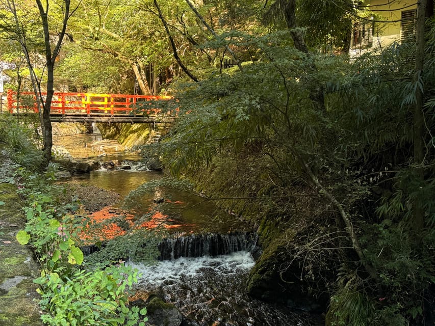 Kyoto: Kifune Shrine and the Sacred Kifune Valley Day Trip - Price & Value