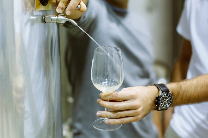 Private Tour at a Family Winery and Basque Coast Route - Authentic Experiences from Travelers