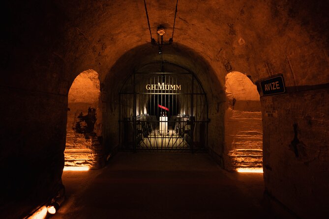 Reims or Epernay: Full day Champagne Mumm, family grower & lunch - Who Will Love This Tour