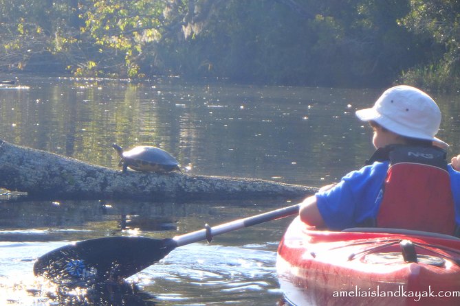 Self Guided Family Friendly Kayak Rental Experience Old Florida - The Practical Side: Cost, Booking, and Tips