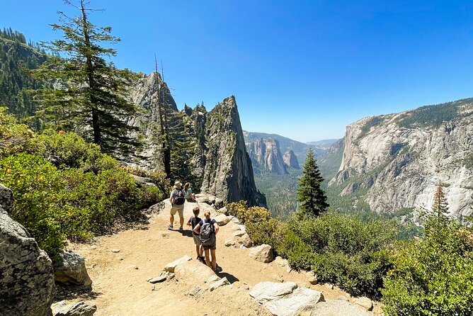 Yosemite Family Explorers - Customizable Private Tour - Value for Money: Is it Worth the Price?