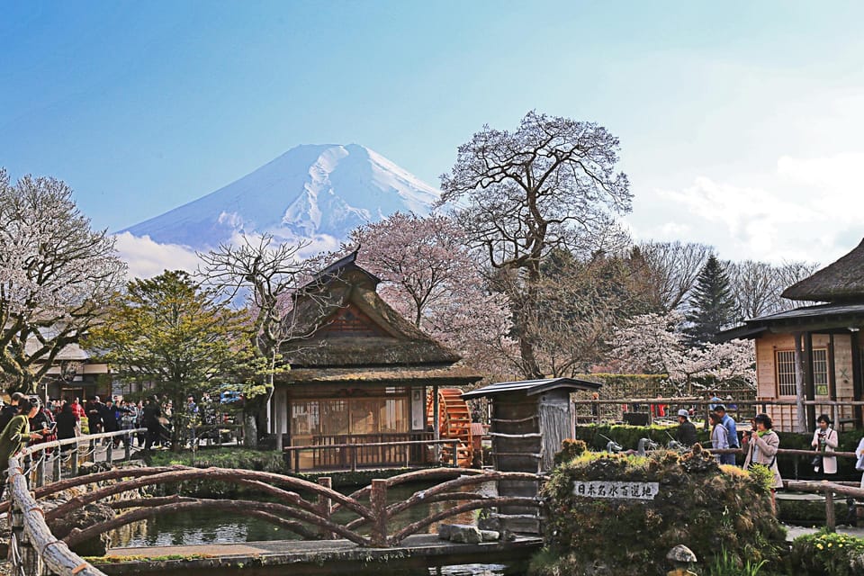 1 Day Tour : Mount Fuji and Hakone - Practical Tips for Making the Most of Your Day