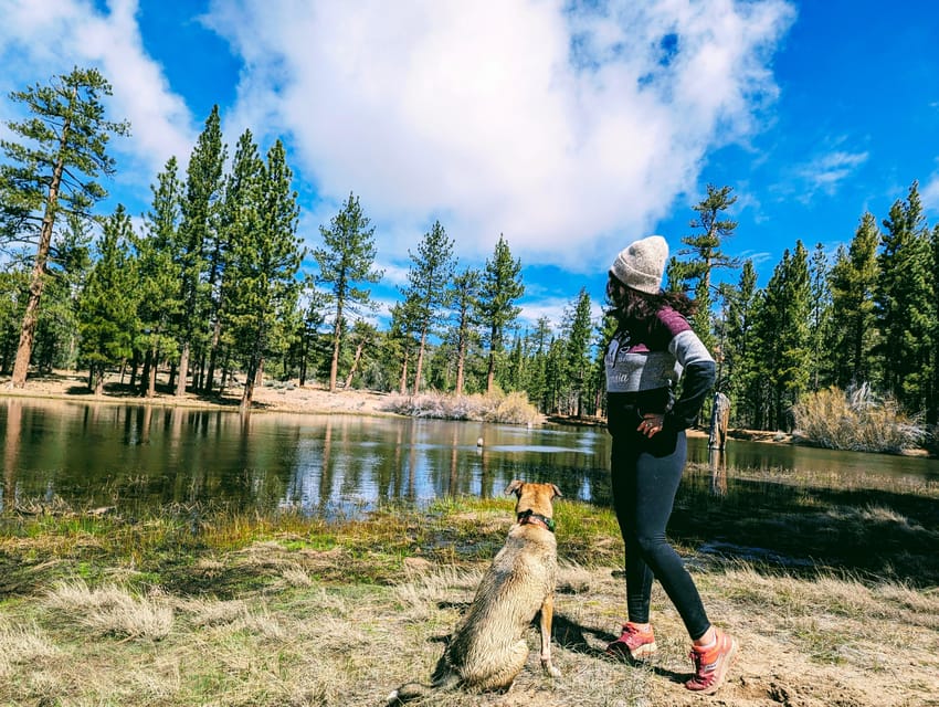 Big Bear: Family-Friendly Nature Walk w Hot Chocolate - Deep Dive into the Itinerary and Experience
