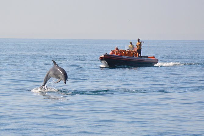 Cheapest Family Friendly Boat Trip From Vilamoura Algarve - Who Should Consider This Tour?