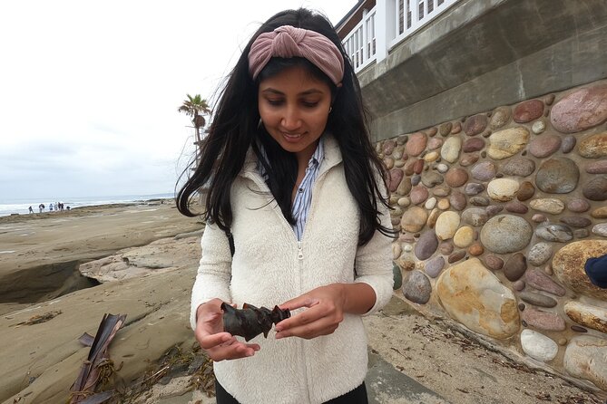 Explore San Diego Tide Pools with a Marine Biologist - The Real Value According to Travelers