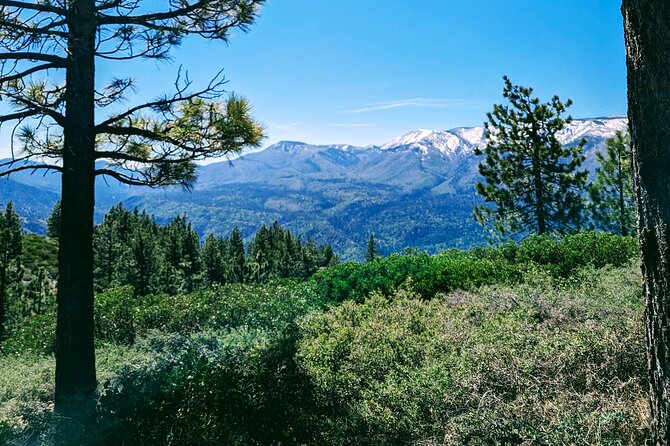 Family-Friendly Nature Hike around the Big Bear Valley - Who is This Tour Best For?