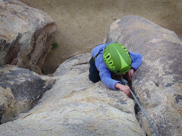 Family Rock Climbing Trips in Joshua Tree National Park (8 Hours) - Why Families Love This Experience