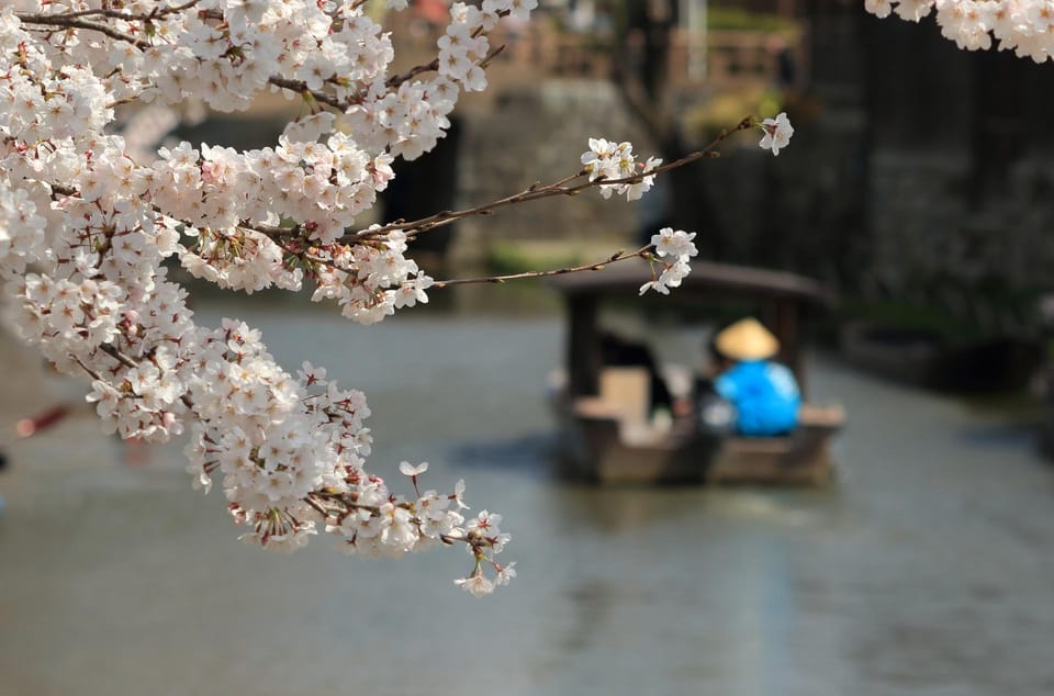From Nagoya: Castles and Canals in Hikone and Omi Hachiman - Real Traveler Insights