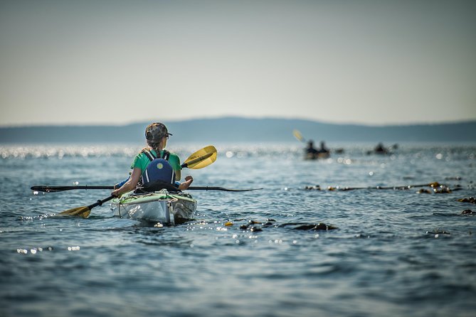 Kayaking in Deception Pass State Park - FAQs About the Deception Pass Kayaking Tour