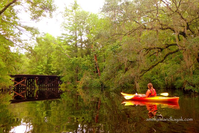 Self Guided Family Friendly Kayak Rental Experience Old Florida - Authentic Experiences from Travelers