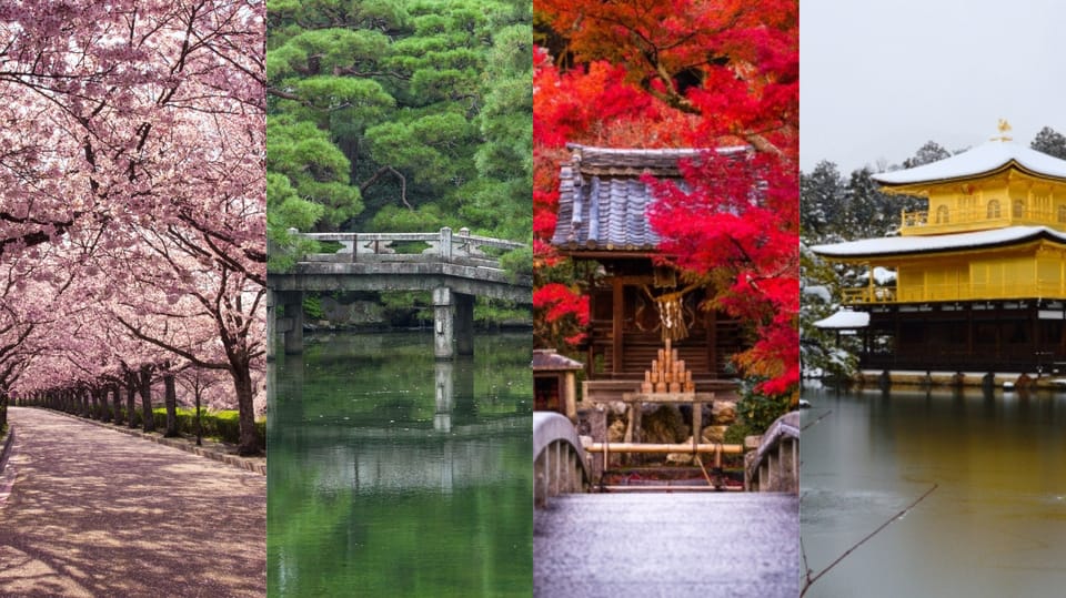 Tokyo : private 3 hours private tour with a local guide an in depth look at the tour experience