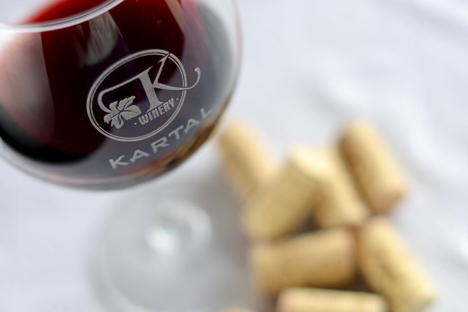 Wine Tasting Tour in Family winery Kartal in Skopje - Practical Tips for Visitors