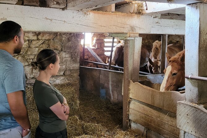 Authentic Tour & Meal with the Amish! - Who Will Love This Tour?